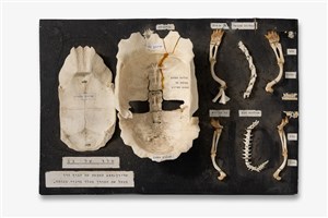 Image description is not available for 1997.1.55